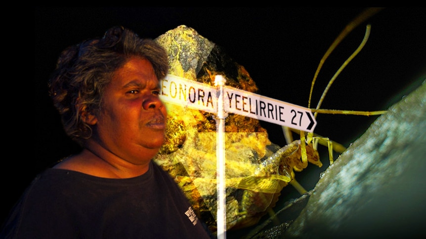 An aboriginal woman a sign saying Yeelirrie and a bug.