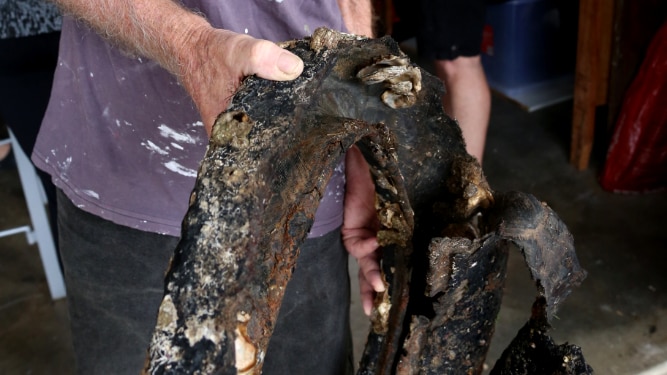 A man holds a partially-decomposed tyre with sea life growing on it.