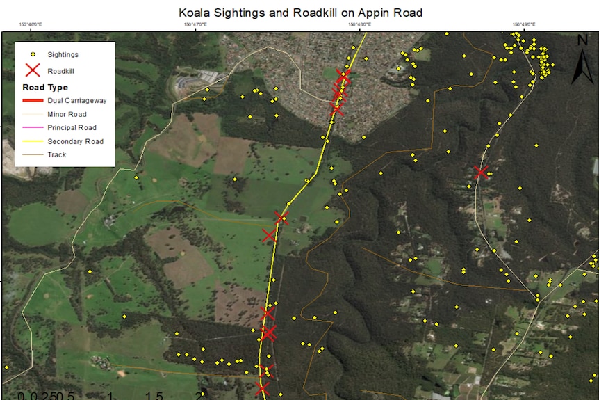 Appin Road is a koala roadkill hotspot where known koala corridors occur.