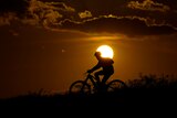 A cyclist is silhouetted by the bright golden sunset.