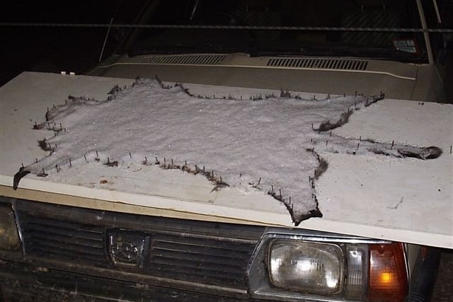 The pelt of a large cat laid out across the bonnet of a four-wheel drive.