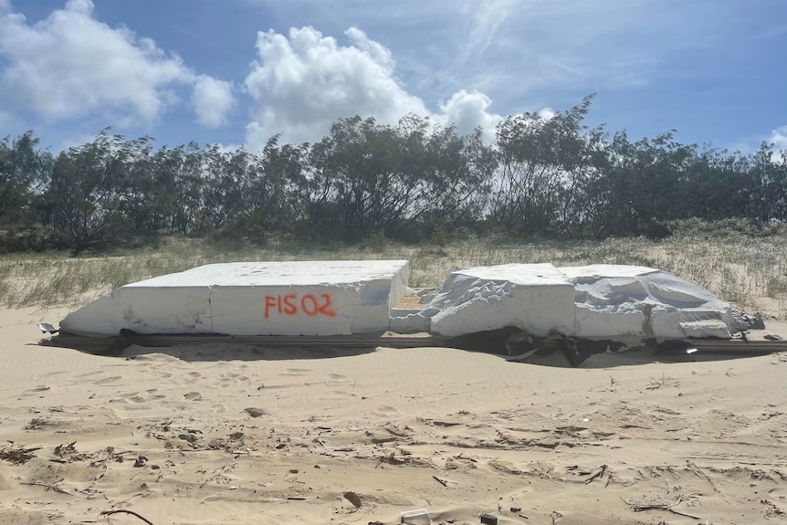 A large white pontoon washed up on a beach 