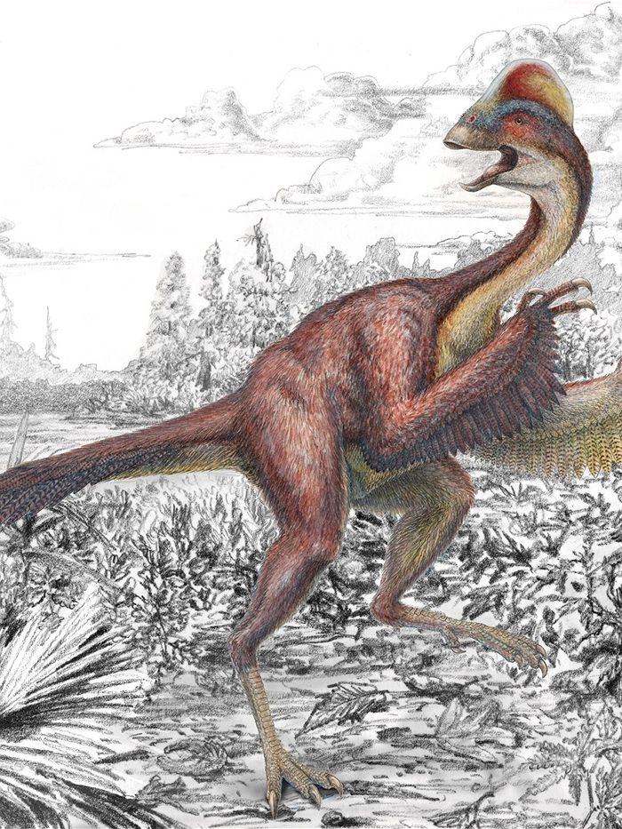 Scientists discover dinosaur, name it 'chicken from hell' - ABC listen