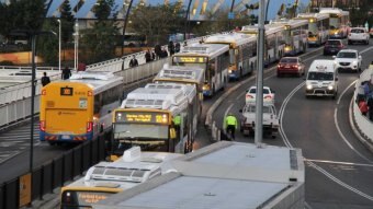 Busses line up by the side of a road.