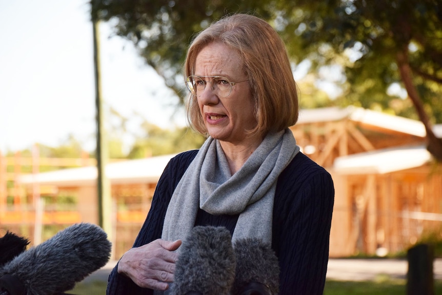 Queensland Chief Health Officer Jeannette Young speaks to the media in Brisbane