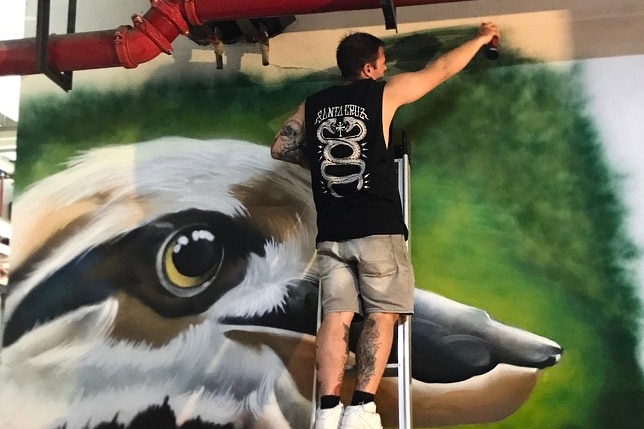James Cowan up a ladder spray painting a mural featuring a kookaburra.