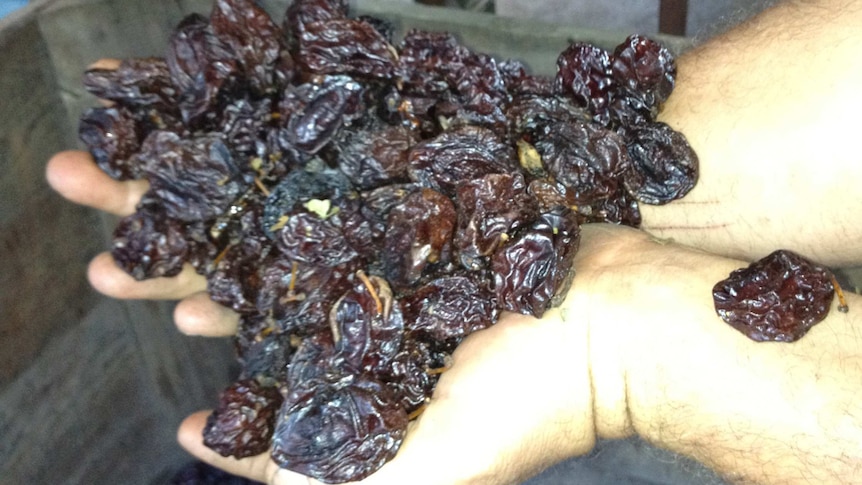 Proposed $10m plan for dried fruit