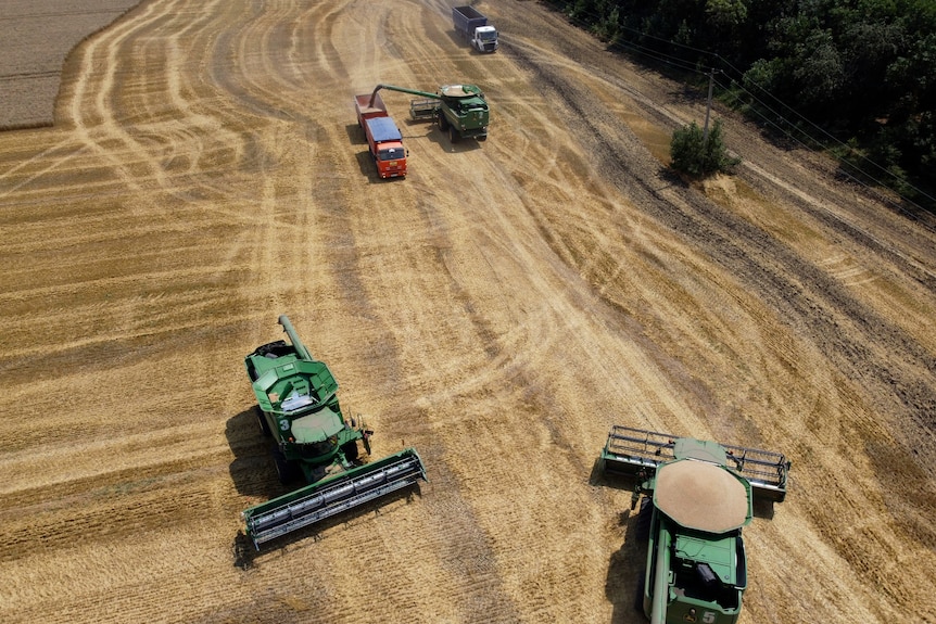 Les agriculteurs récoltent avec leurs moissonneuses-batteuses dans un champ de blé