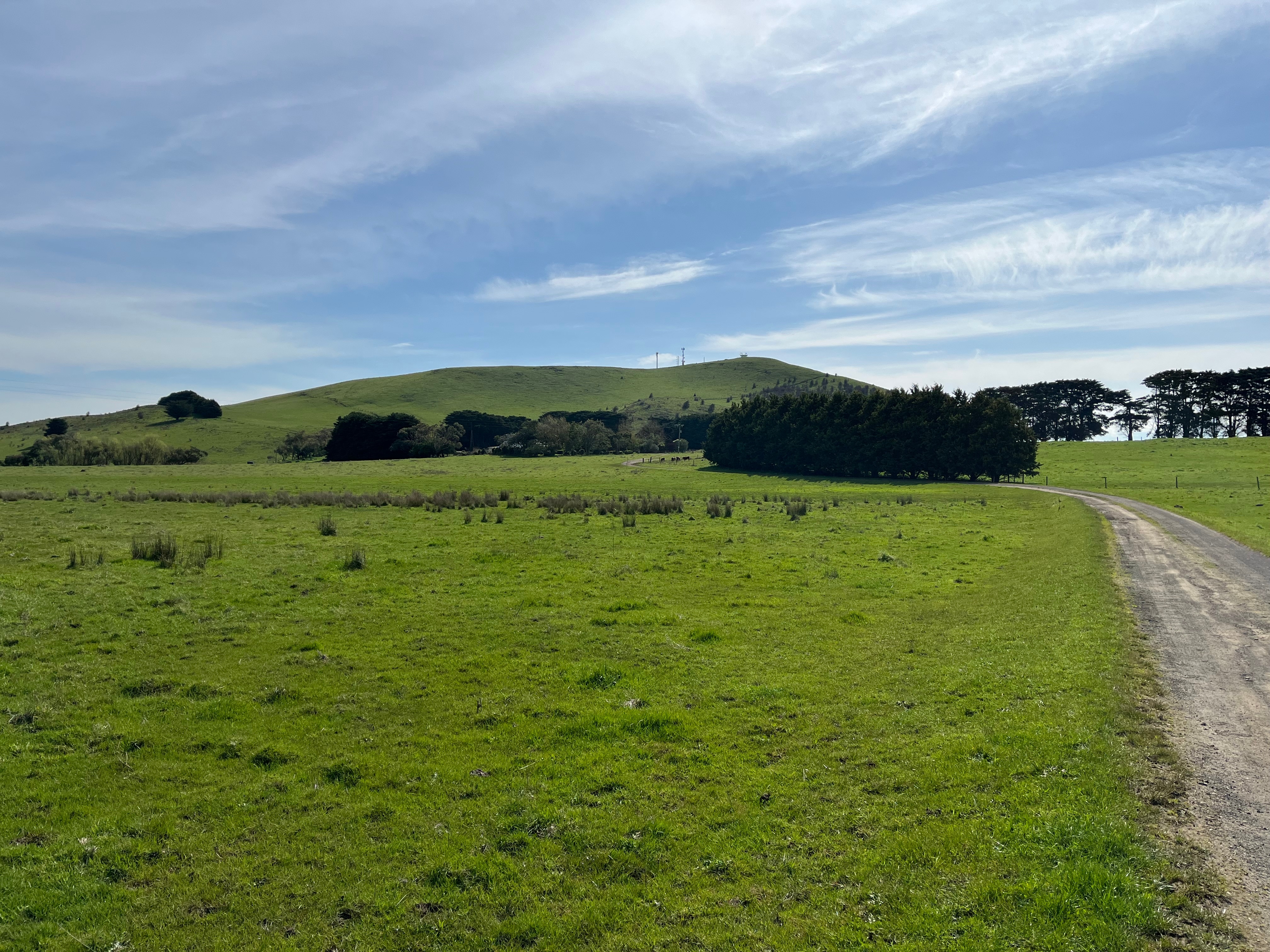 Southwest Victorian fire tower on Mount Warrnambool at centre of