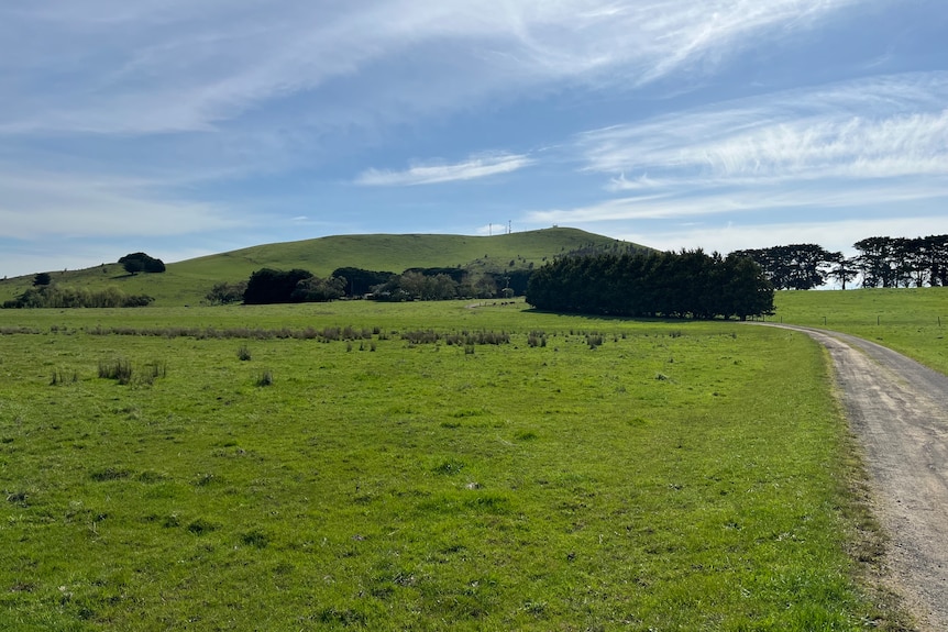 A photo of a paddock with green grass and a hill in the distance.
