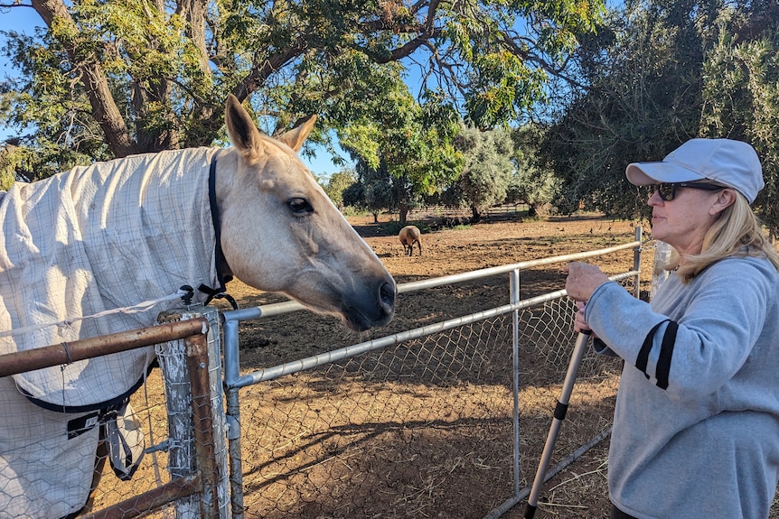A middle-aged woman in a cap and sunglasses stands looking at a horse on a rural property.