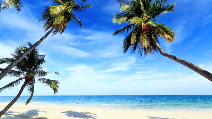 Beach scene on Fiji