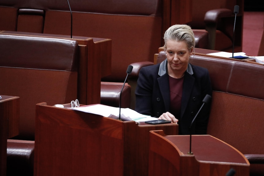 McKenzie sitting at her desk in the senate, wearing a dark jacket.