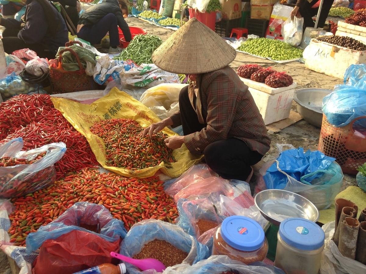 Nightlife Travel - Ninh Binh in Vietnam