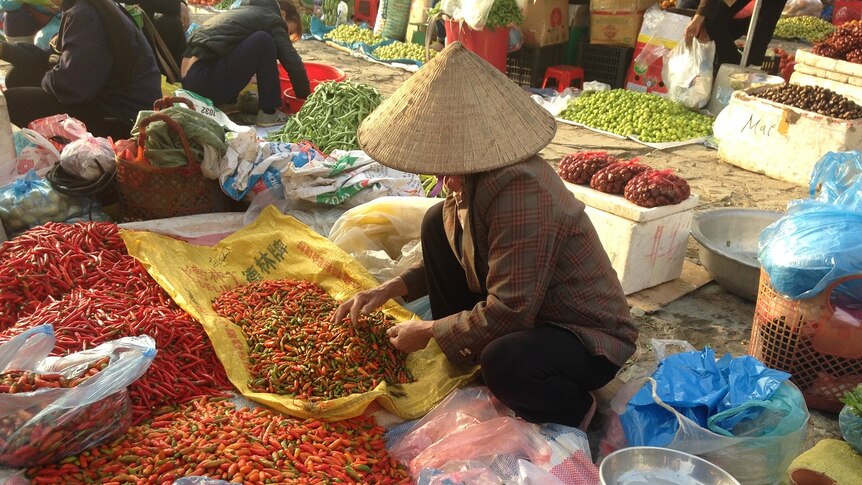 A woman selling chillies on the streets of the Bac Ha markets in north western Vietnam