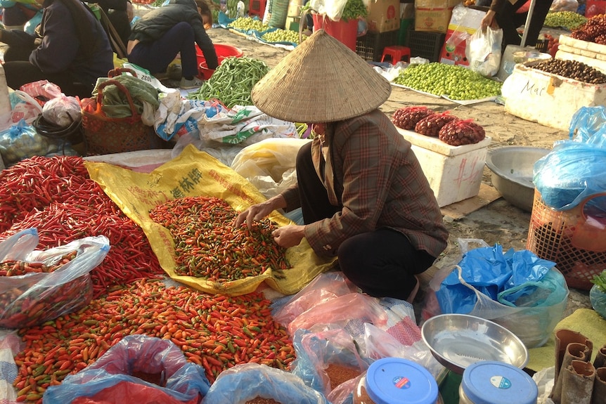 A woman selling chillies on the streets of the Bac Ha markets in north western Vietnam