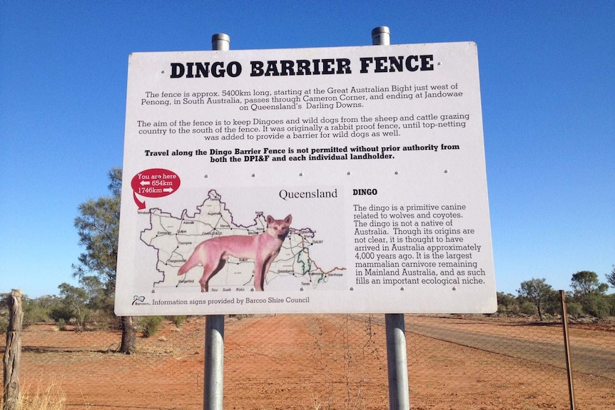 Dingo Barrier Fence