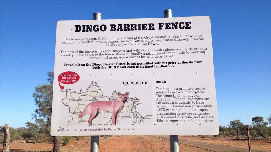 Dingo Barrier Fence