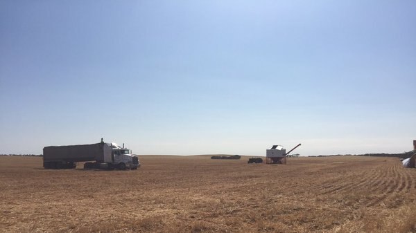 Grain growers near Ouyen, in the Victorian Mallee, have made an early start to harvest.