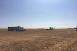 Grain growers near Ouyen, in the Victorian Mallee, have made an early start to harvest.