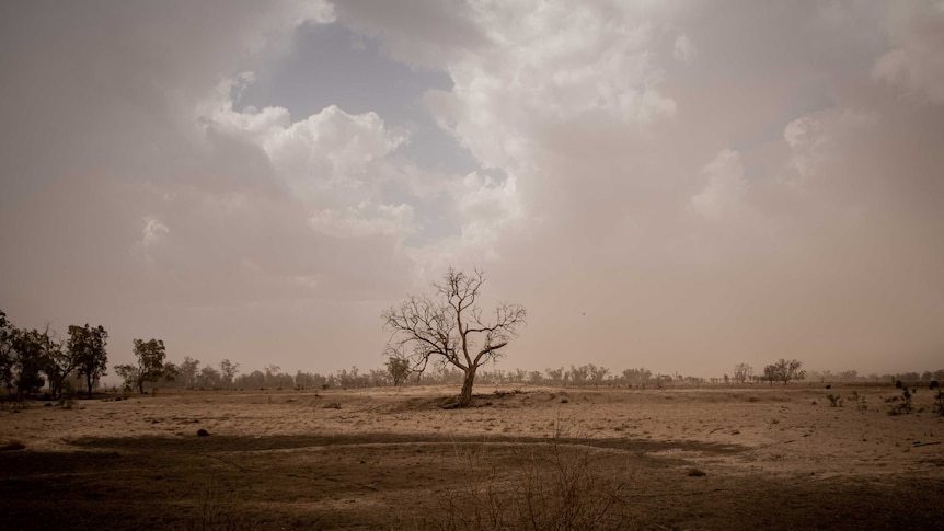 empty dam with dead tree and but beautiful clouds busting through a dusty sky