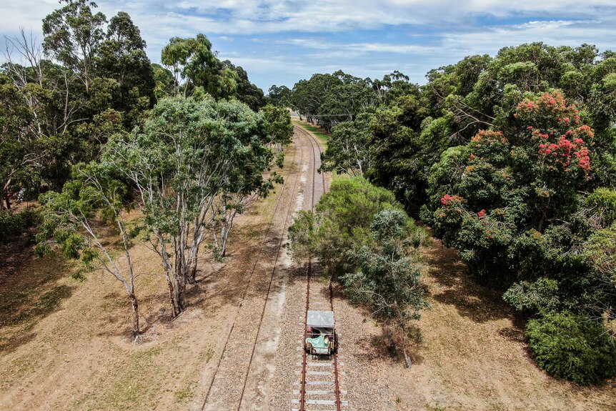 A small carriage sits on a long winding rail line through large gum trees on a sunny day.