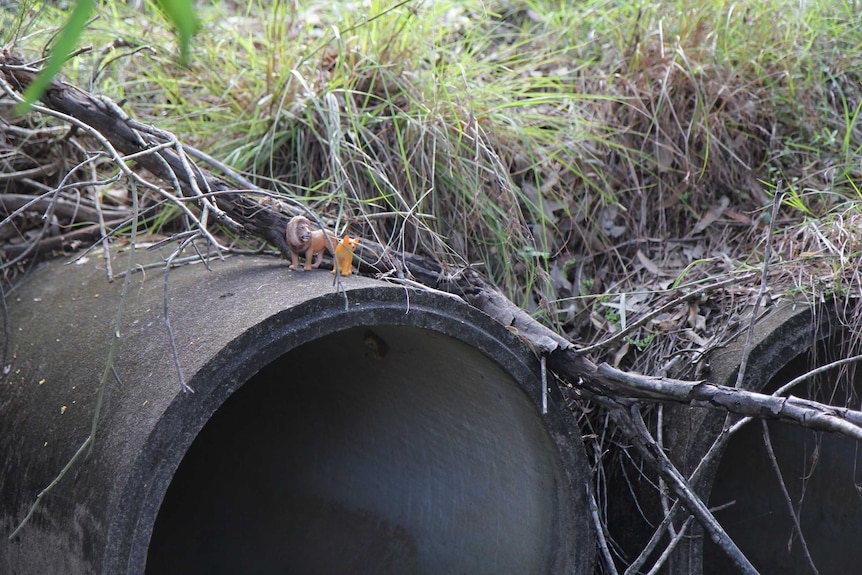 A concrete drain.