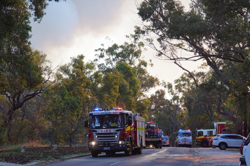 A series of fire engines in a bush setting.