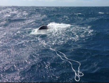Men rescued from sinking boat en route to Rottnest Island - ABC News