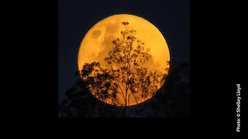 Orange moon on the horizon