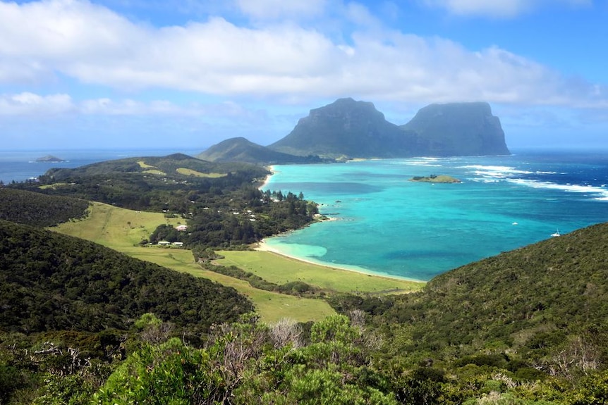 A green island covered in trees and bushland surrounded with bright blue water and a reef to the right. 