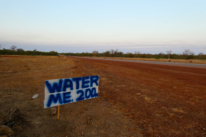 A home made sign by the side of the road says "water me 200 metres".