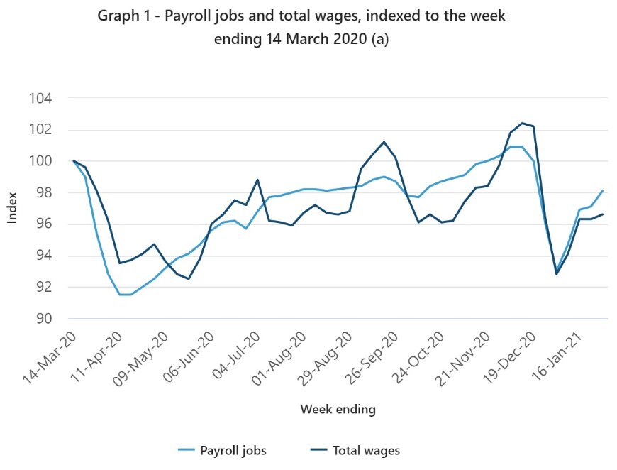 Jobs back 'around the same level as last year', ABS payroll data shows