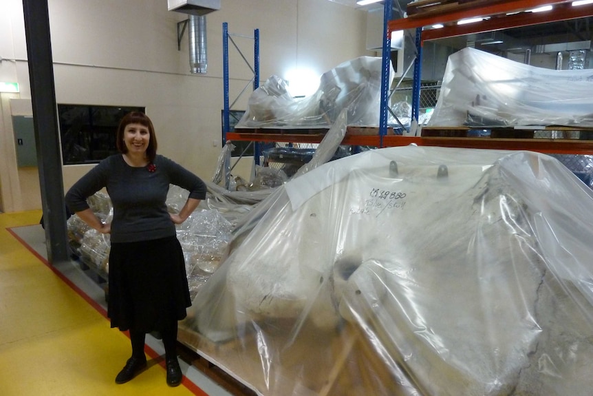 Amber Beavis next to the WA Museum's blue whale specimen