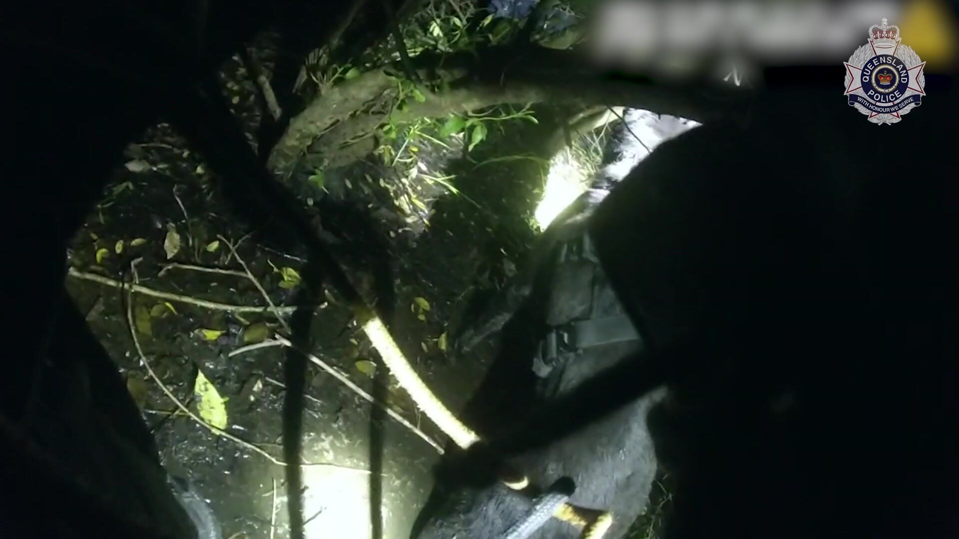 Imagen borrosa de un arresto policial