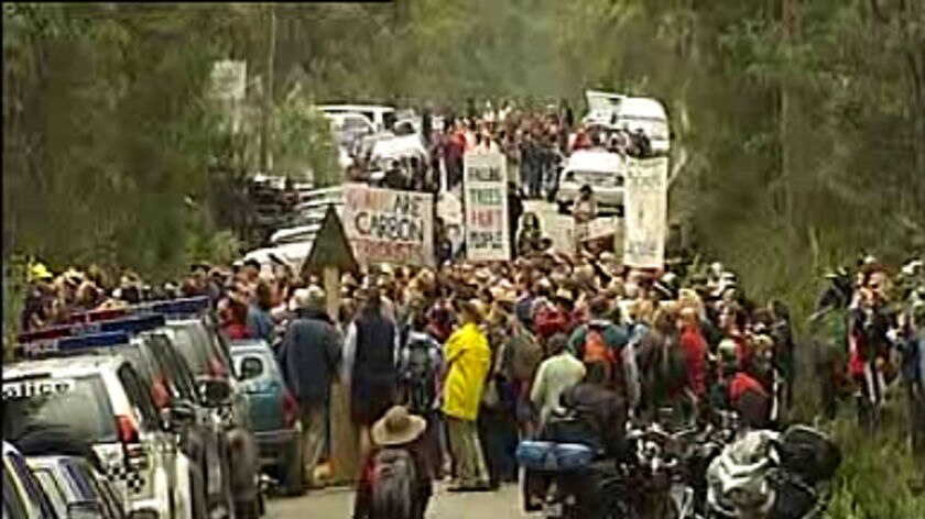 Sunday's forest protest in the Upper Florentine.
