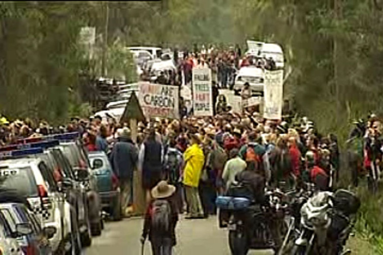 Hundreds of people in a forest protest in Tasmania.