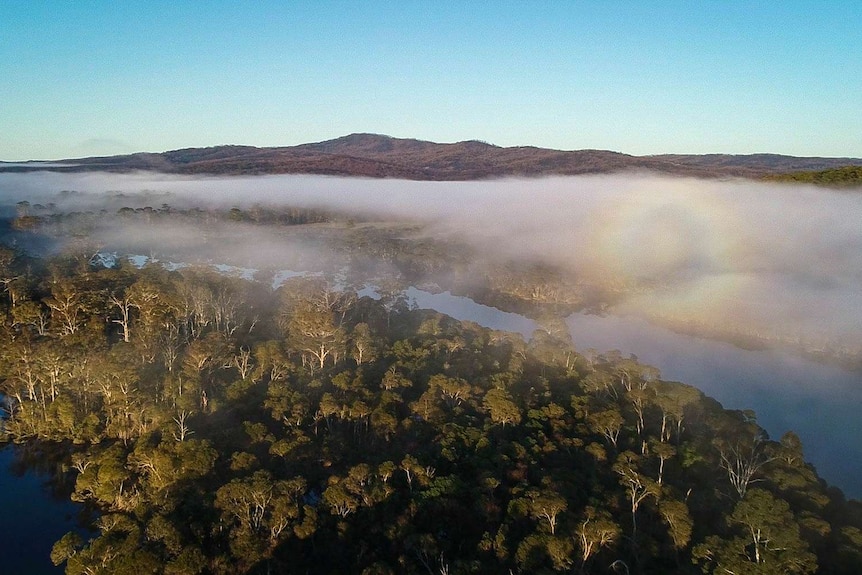 A drone shot of up high, a forked river below, thick green bushland, fog over river, burnt hill behind.