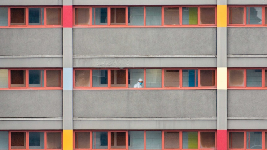 You view rectilinear windows with red borders across three storeys on a modernist public housing tower.