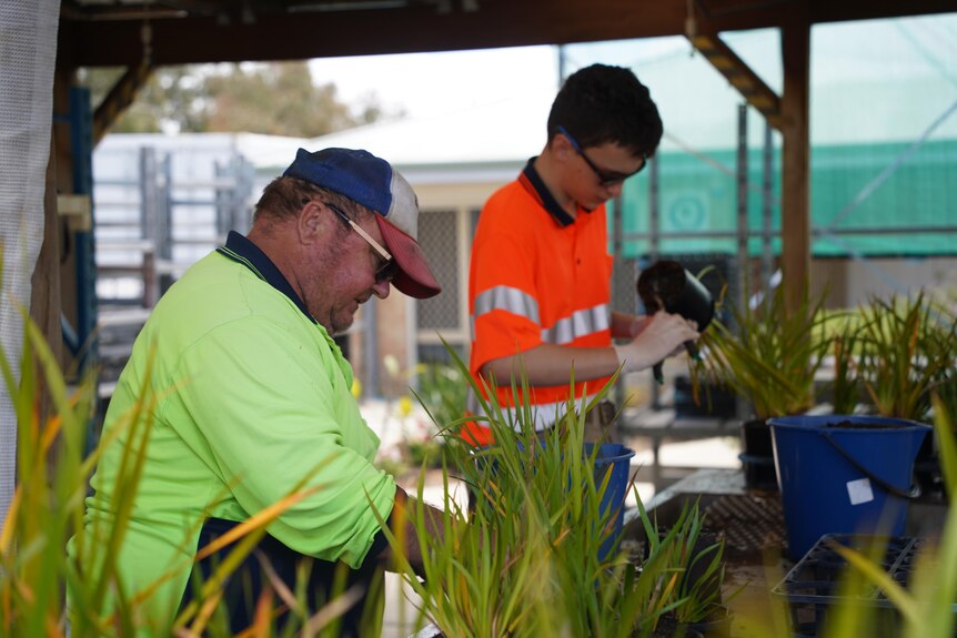 Two men in high visibility work wear tend to plants outdoors. 