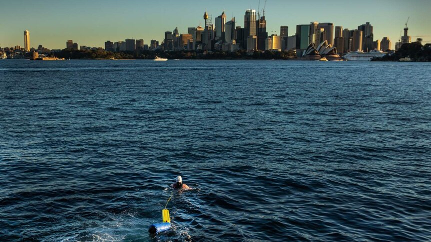 A man entering the Harbour waters with the Opera House in the distance.