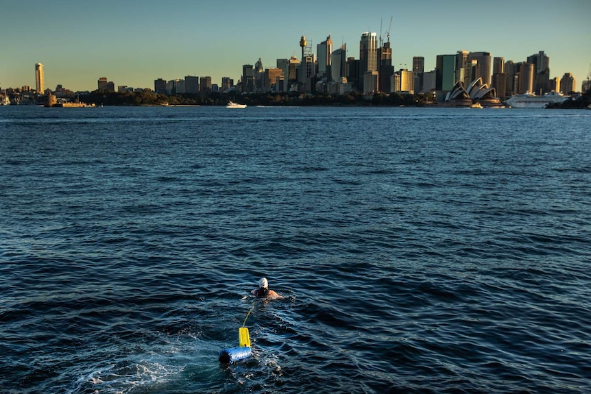 A man entering the Harbour waters with the Opera House in the distance.