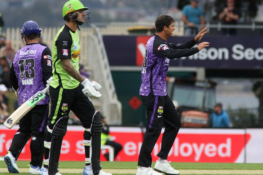 a cricketer in a purple uniform has his arms in the air to high five a team mate