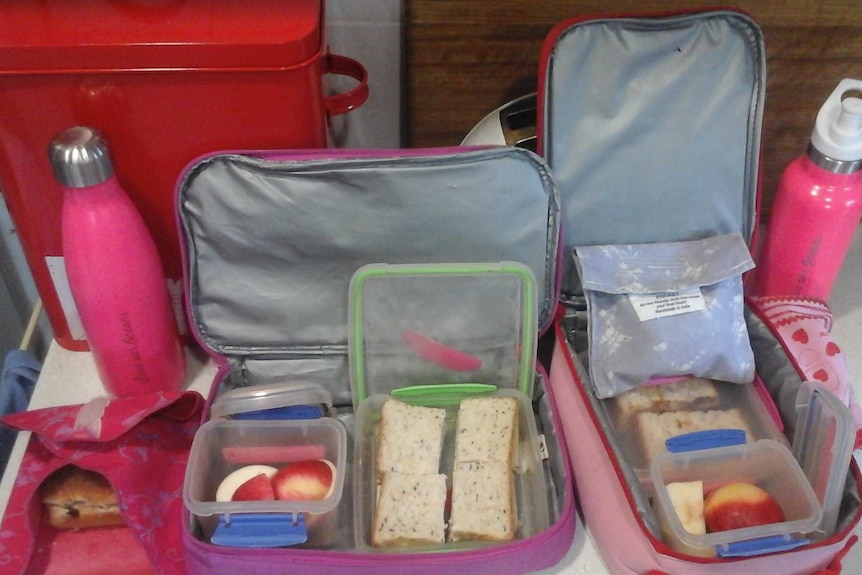 Two kids lunchboxes with reusable containers and wraps