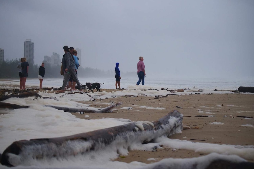 Foam covering debris on the beach with people walking in the background.