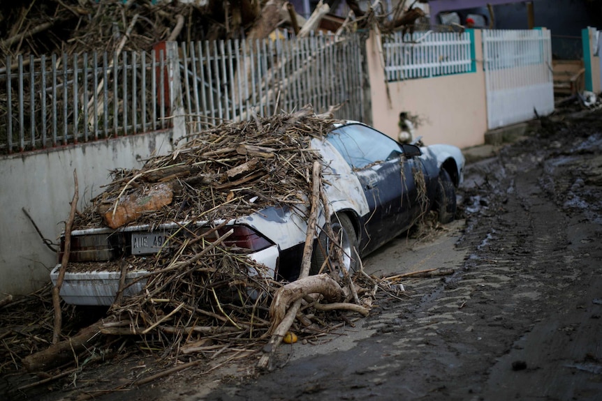 A black and white car parked in a street in Puerto Rico is covered by fallen branches and debris following Hurricane Maria.