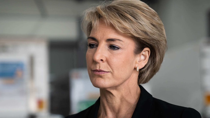 Michaelia Cash to give evidence in Federal Court over AWU office ...