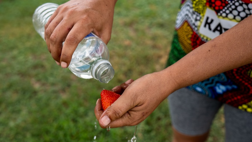 Indigenous woman pours bottled water over a strawberry in her hand. 
