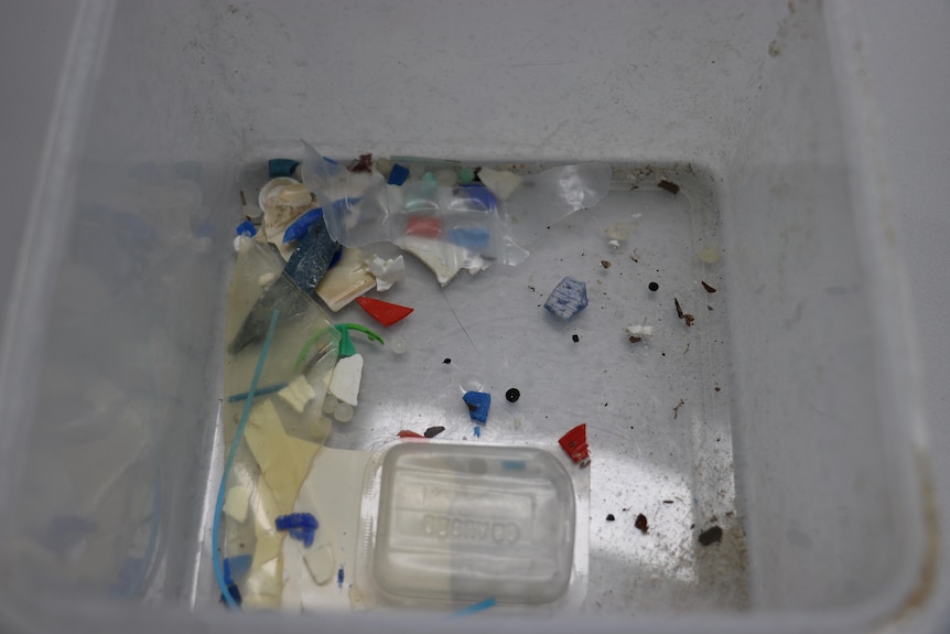 Various small pieces of plastic, some yellow, some blue, some red, are seen in a plastic tub.