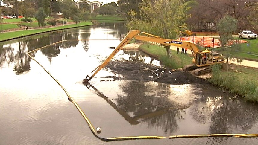 River Torrens is being dredged to remove rubbish and silt